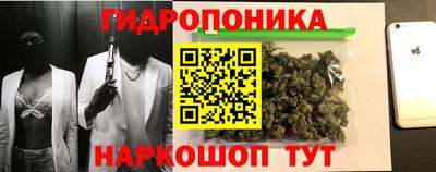 молекула духа Славянск-на-Кубани